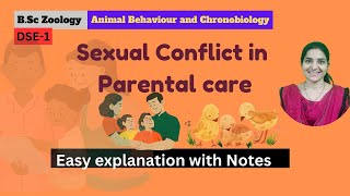 Sexual Conflict in Parental Care B Sc Zoology 5th Semester Animal Behaviour [upl. by Zelig]