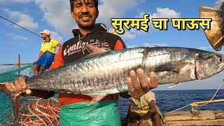 10 दिवस खोल समुद्रात राहून पकडले मोठेमोठे मासेतीसरा दिवसsurmai fishing mumbai indian fishing⛵ [upl. by Lesna687]