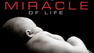 The Miracle of Life [upl. by Oiralednac672]