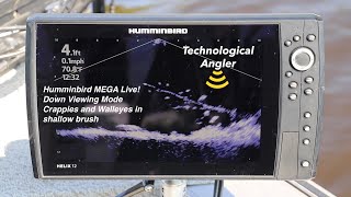 Humminbird MEGA Live Imaging Crappies and Walleyes in Down Viewing Mode [upl. by Retha]