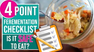 FERMENTATION CHECKLIST  4 Checks To Know If Your Ferment Is Safe To Eat [upl. by Black]