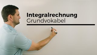 Integralrechnung Grundvokabel Hauptsatz Flächenberechnung  Mathe by Daniel Jung [upl. by Mad]