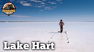 Lake Hart  Salt Lake  South Australia [upl. by Heyman527]