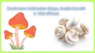 Mushroom Cultivation Steps Health Benefit amp Side Effects NanMagi [upl. by Gibbeon]