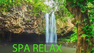 Relaxing Spa Music Meditation Healing Stress Relief Sleep Music Yoga Sleep Zen Spa ☯277 [upl. by Whipple]