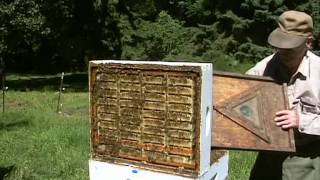 Hogg Half Comb Honey Super Kit Instructional Video [upl. by Petrie]