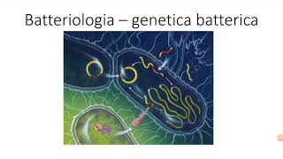 Batteriologia  lezione 5 genetica batterica [upl. by Aicsile]