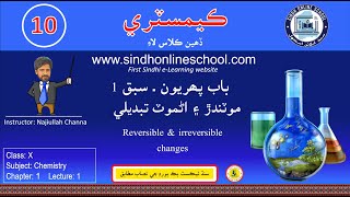 Reversible and irreversible changes Chemistry Class 10  Chapter 1  Lecture 1 Sindh Online School [upl. by Celle]