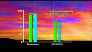 The Angus Report — January 28 2011 [upl. by Carolyn386]