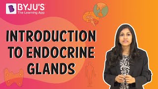 Endocrine Glands  Introduction [upl. by Nordna]