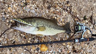 Quality Largemouth Bass 122923 Winter Freshwater Fishing Long Island [upl. by Rizika]