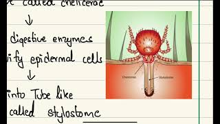 Scrub Typhus Risk factors clinical features diagnosis treatment amp prevention [upl. by Ahsiket398]