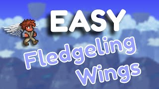 How to get Fledgling Wings in Terraria 1449 [upl. by Acnayb]