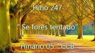 Hino 247  Se fores tentado  H5 CCB [upl. by Sirret]