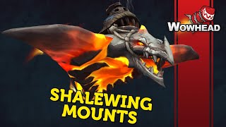 Shalewing Mounts [upl. by Harriot]