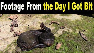 The Day I Got My 1st VENOMOUS SNAKEBITE Unseen Footage [upl. by Letnom]