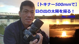 【トキナーで日の出を撮る！】SZ 500mm F8 Reflex MF（動画No1880） [upl. by Valonia]