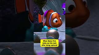 Did You Know That In Finding Nemo [upl. by Lubeck]