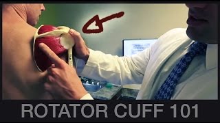 Rotator Cuff Basics from the Expert  Dr Piasecki [upl. by Onibla]