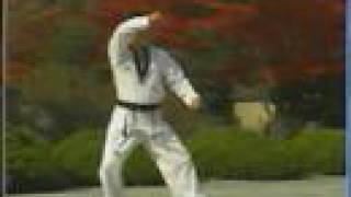 17 Taekwondo Poomsae Ilyo WTF [upl. by Fatima162]