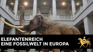 Elefantenreich Eine Fossilwelt in Europa [upl. by Lonier438]