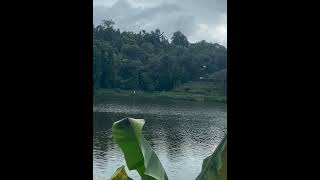 Checkout the view music nature naturesview backgroundmusic musicvideo chillmusic naturesoud [upl. by Esilehs]