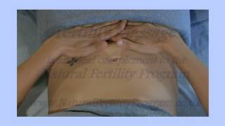 Self Help Fertility Massage [upl. by Tyre57]