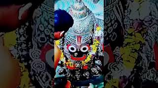 Bolo Mahakal Maharaj ki Jai youtubeshorts mahadevststus shivaji ujjainmahakal jaijagannath [upl. by Colpin]