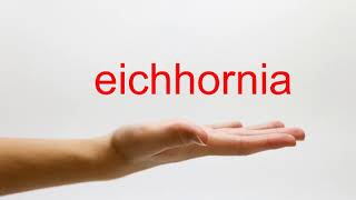 How to Pronounce eichhornia  American English [upl. by Yttocs366]