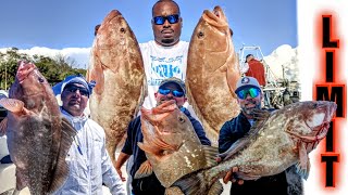 Red Grouper Fishing in Florida  2024 fishing [upl. by Paloma973]