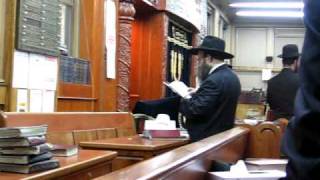 Davening Maariv in the Shomer Shabbos Shul in Boro Park Brooklyn [upl. by Yanetruoc]