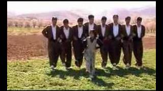 Kürtce Halay Dügün  Kurdish Wedding Dance Halparke [upl. by Enidualc]