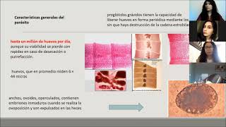 Difilobotriasis Diphyllobothrium latum [upl. by Edie]