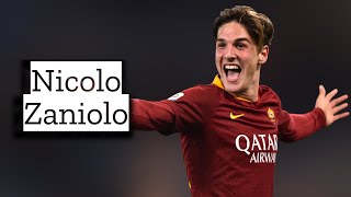 Nicolo Zaniolo  Skills and Goals  Highlights [upl. by Dougherty]