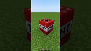 Minecraft TNT vs 1000 Mini TNT🤯もういいよ shorts [upl. by Sells]