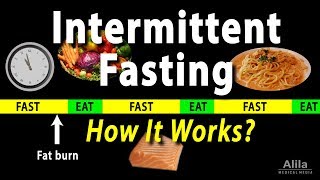 Intermittent Fasting  How it Works Animation [upl. by Remat]