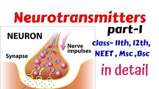 Neurotransmitters part 1Introduction and definition for 11th 12th NEET bsc msc [upl. by Ettecul]