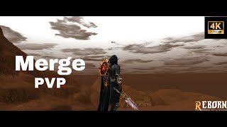 L2 Reborn pvp First week of the merge [upl. by Vere]