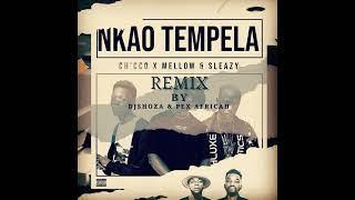 Nkao Tempela  dj Shoza amp Pex Africah remix [upl. by Quincey]