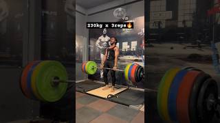 230kg Beltless deadlift 🔥 powerlifting bodybuilding trending viralshorts viralvideo deadlift [upl. by Ahsinahs]