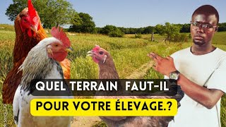 Avant de Choisir Votre Terrain Pour Débuter lÉlevage Regardez ceci [upl. by Eidualc257]