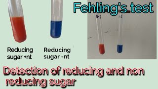 Fehlings test  Princple  Procedure  Uses  Detection of reducing and non reducing sugar  Hindi [upl. by Anilasor]