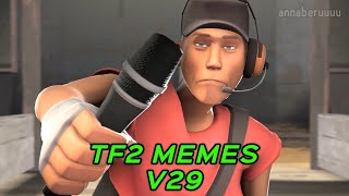 TF2 MEMES V29 [upl. by Deny]