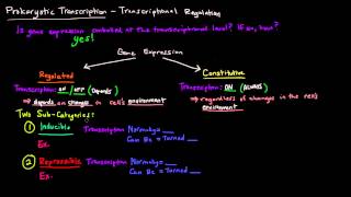 Prokaryotic Transcription Part 1 of 5  Transcriptional Regulation [upl. by Yhtomit]