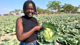 HOW SHE TOOK FARMING TO THE NEXT LEVEL IN MARONDERA ZIMBABWE 🇿🇼 [upl. by Hastie]