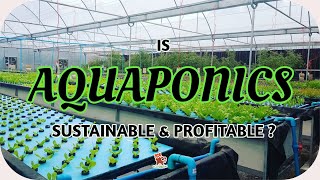 Is Commercial Aquaponics Sustainable amp Profitable   Agriculture [upl. by Huckaby]