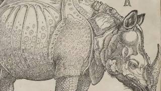 Rhinoceros Albrecht Dürer 1515 [upl. by Helve]