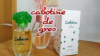 Cabotine Gold by Parfums Gres Perfume Review [upl. by Ahsila571]