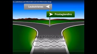 Eicosanoids Prostaglandins Leukotrienes and Inflammation and Antiinflammatory drugs [upl. by Karab]