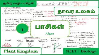 Algae in Tamil  Part 1  பாசிகள்  Class 11  Plant Kingdom  தாவர உலகம்  NEET Biology in Tamil [upl. by Zilef]